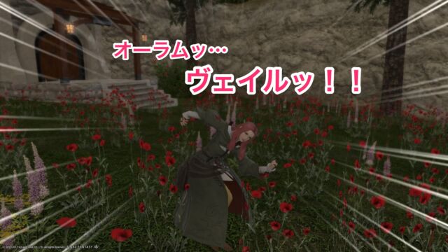 Ff14 クエスト日記14 オーラムヴェイル攻略 特別編