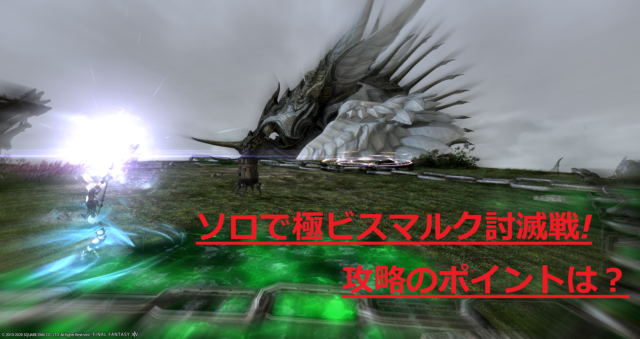 ビスマルク ソロ 極