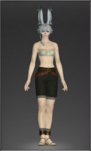 プロフェットキュロット　　前　脚