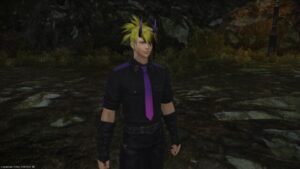 FF14　守護天節　2024