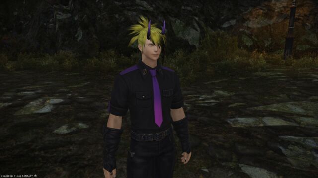 FF14 守護天節 2024