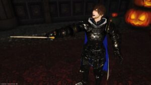 FF14　守護天節　2024